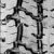 Rosava -24